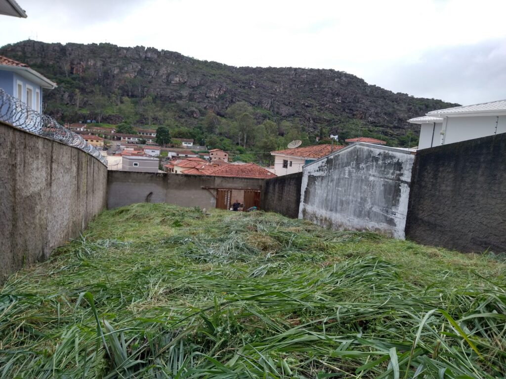 lote 6