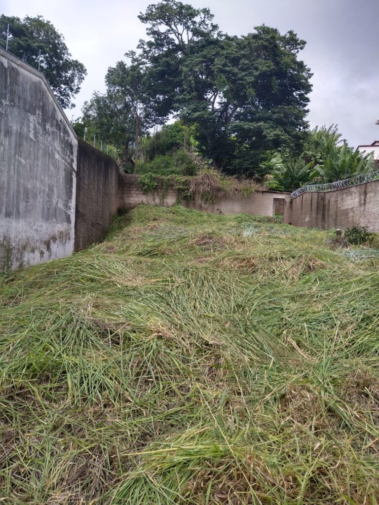 lote dentro