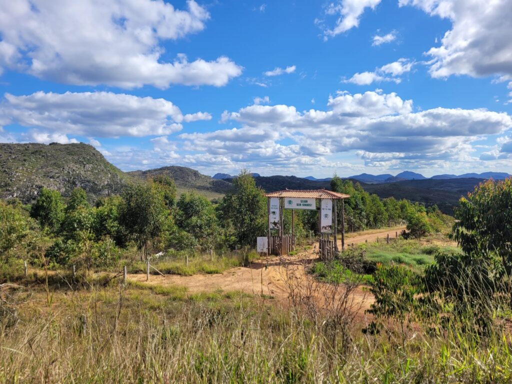 44