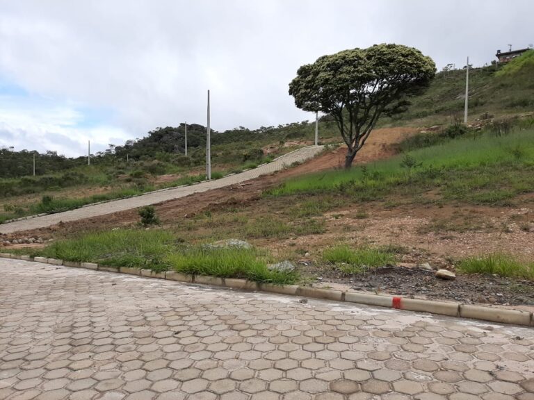 Imagem do WhatsApp de 2025-01-28 à(s) 12.40.32_e90cf483